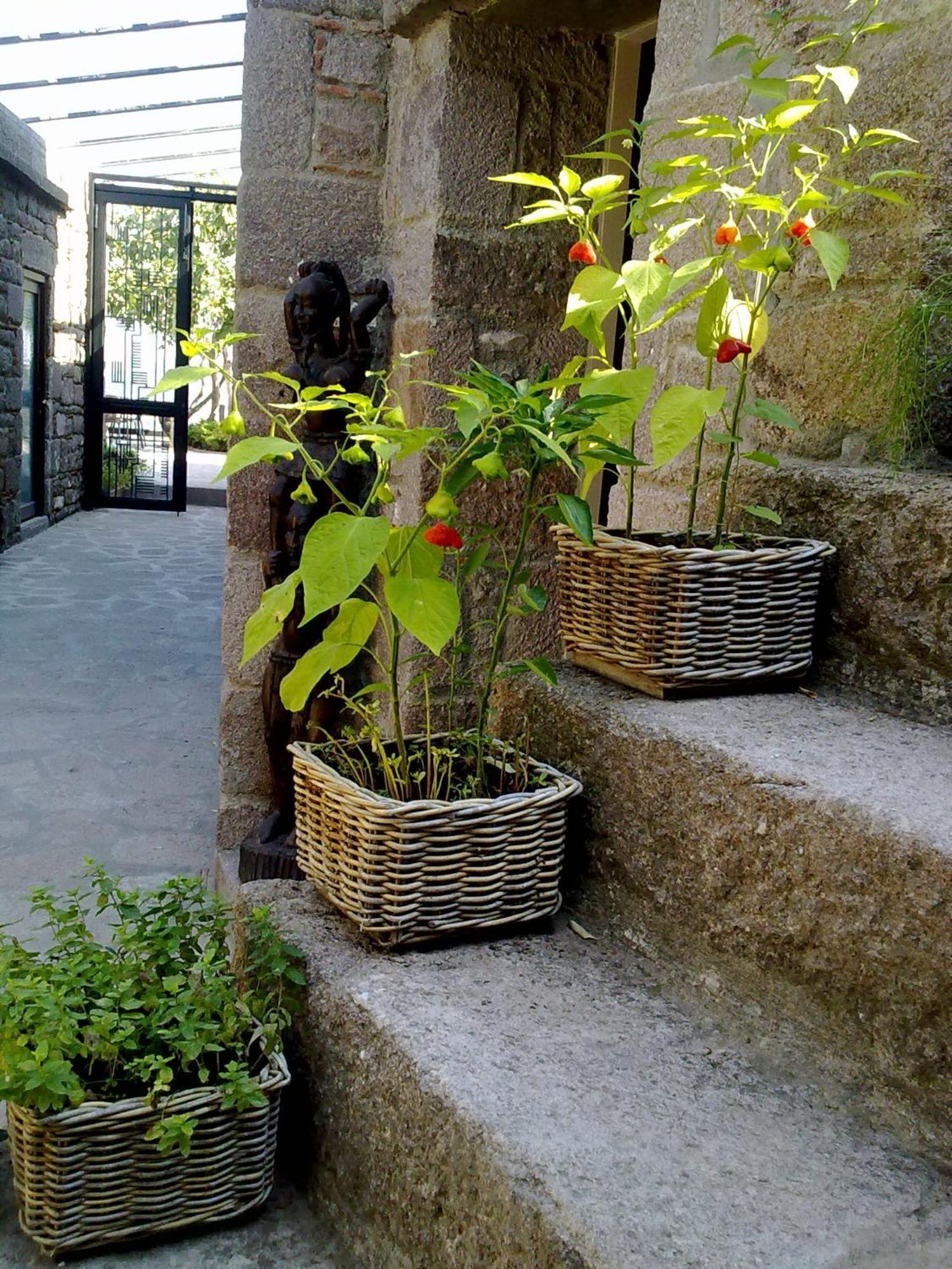 Assosyal Hotel Exterior foto